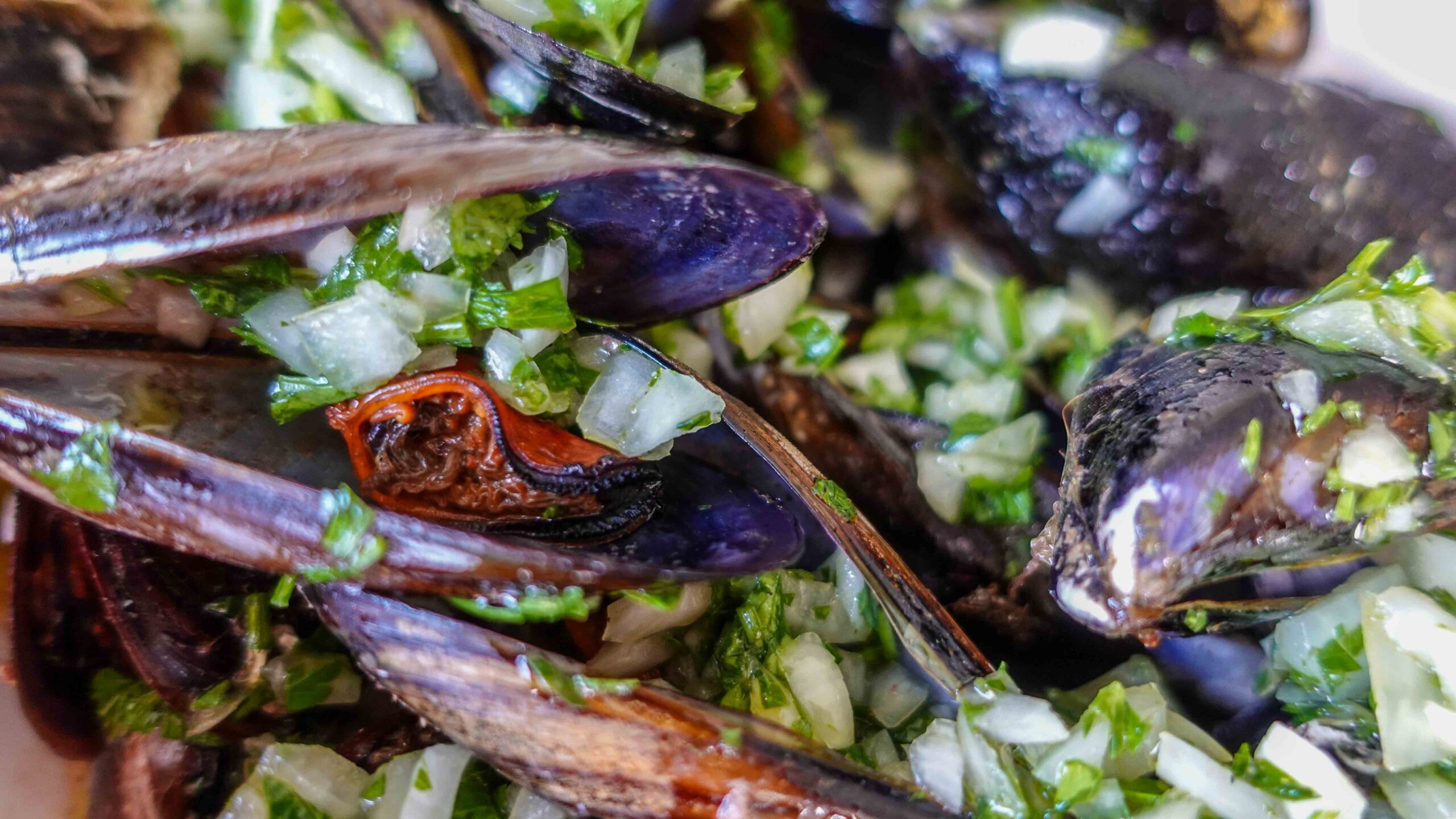 Mussels in a bowl with delicious salsa